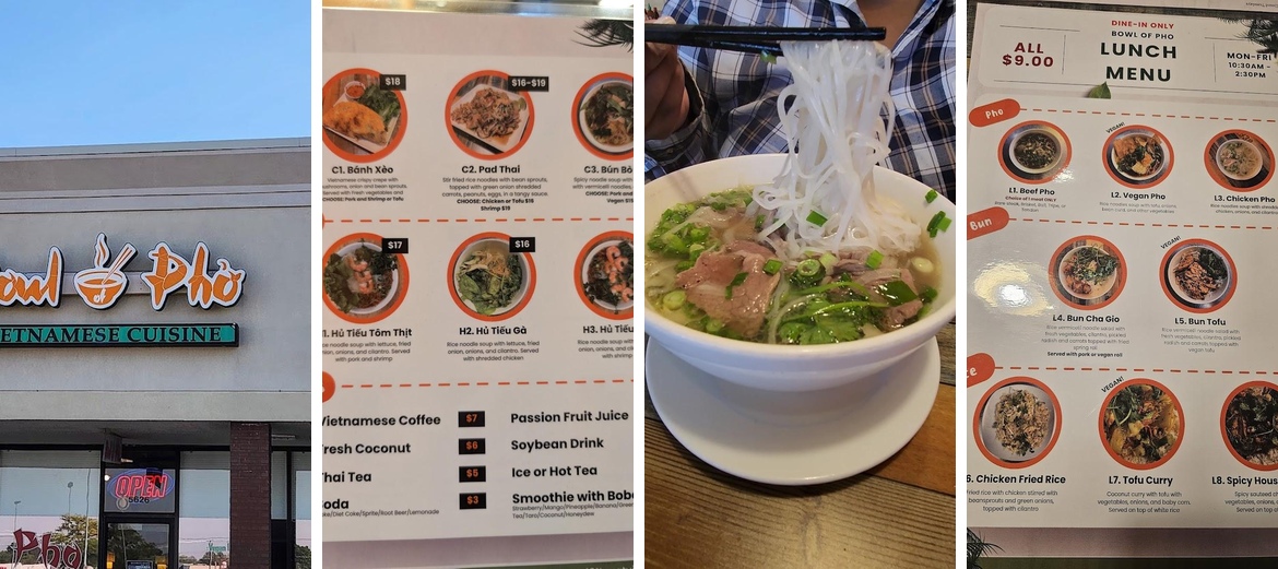 Bowl of Pho