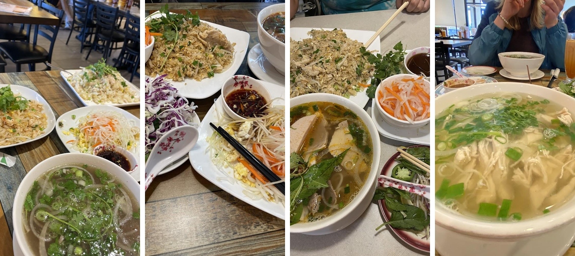 Bowl of Pho